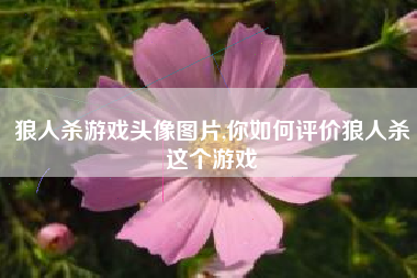狼人杀游戏头像图片,你如何评价狼人杀这个游戏