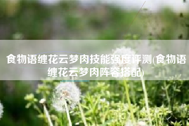 食物语缠花云梦肉技能强度评测(食物语缠花云梦肉阵容搭配)
