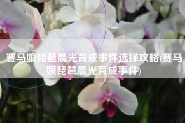 赛马娘琵琶晨光育成事件选择攻略(赛马娘琵琶晨光育成事件)