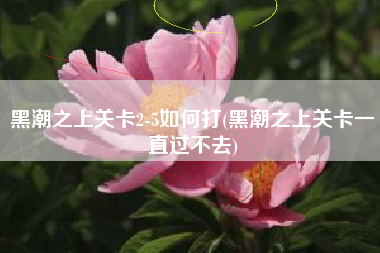 黑潮之上关卡2-5如何打(黑潮之上关卡一直过不去)