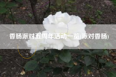 香肠派对五周年活动一览(派对香肠)