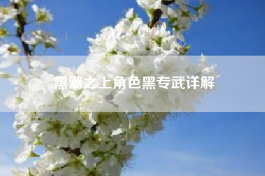 黑潮之上角色黑专武详解