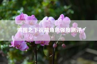 鸿图之下祝融角色强度测评