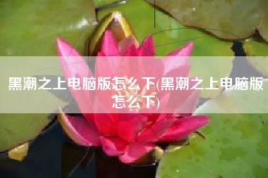 黑潮之上电脑版怎么下(黑潮之上电脑版怎么下)