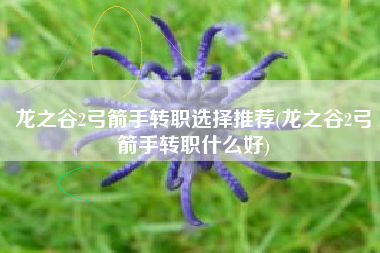 龙之谷2弓箭手转职选择推荐(龙之谷2弓箭手转职什么好)