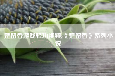 楚留香游戏轻功视频,《楚留香》系列小说