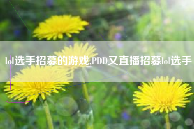 lol选手招募的游戏,PDD又直播招募lol选手