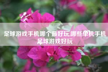 足球游戏手机哪个最好玩,哪些单机手机足球游戏好玩