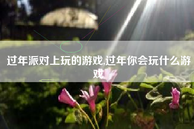 过年派对上玩的游戏,过年你会玩什么游戏