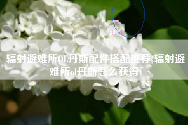 辐射避难所OL丹斯配件搭配推荐(辐射避难所ol丹斯怎么获得)