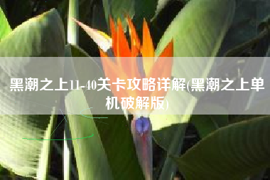 黑潮之上11-40关卡攻略详解(黑潮之上单机破解版)
