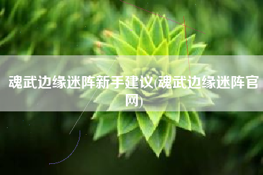魂武边缘迷阵新手建议(魂武边缘迷阵官网)