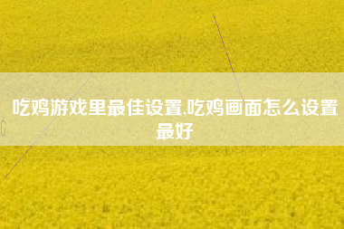 吃鸡游戏里最佳设置,吃鸡画面怎么设置最好