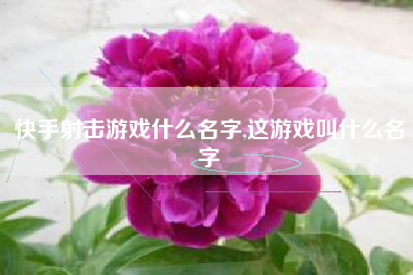 快手射击游戏什么名字,这游戏叫什么名字