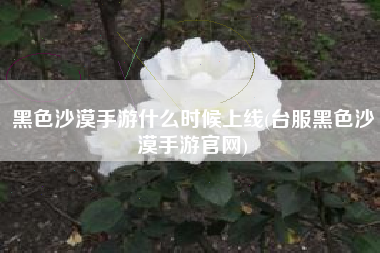 黑色沙漠手游什么时候上线(台服黑色沙漠手游官网)