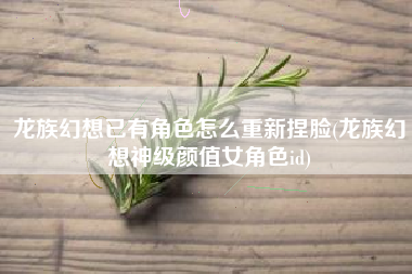 龙族幻想已有角色怎么重新捏脸(龙族幻想神级颜值女角色id)