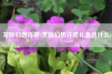 龙族幻想许愿(龙族幻想许愿礼盒选什么)