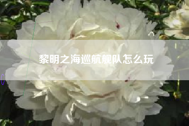 黎明之海巡航舰队怎么玩