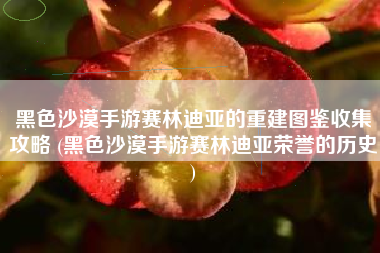 黑色沙漠手游赛林迪亚的重建图鉴收集攻略 (黑色沙漠手游赛林迪亚荣誉的历史)
