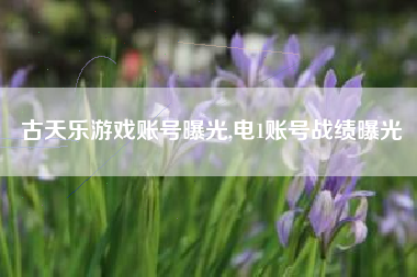 古天乐游戏账号曝光,电1账号战绩曝光