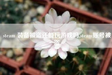 steam 装备被盗还能玩游戏吗,steam账号被盗