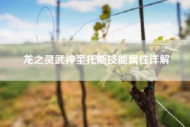 龙之灵武神奎托斯技能属性详解