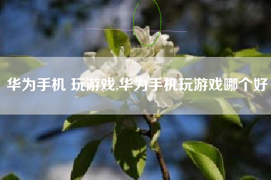 华为手机 玩游戏,华为手机玩游戏哪个好