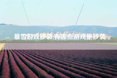 暴雪游戏抄袭,有哪些游戏是抄袭