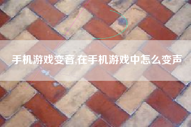 手机游戏变音,在手机游戏中怎么变声