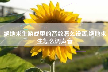 绝地求生游戏里的音效怎么设置,绝地求生怎么调声音