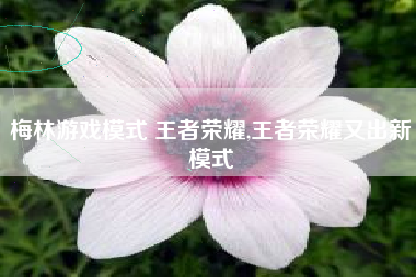 梅林游戏模式 王者荣耀,王者荣耀又出新模式