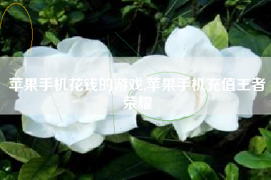苹果手机花钱的游戏,苹果手机充值王者荣耀