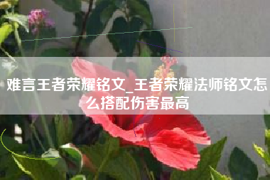 难言王者荣耀铭文_王者荣耀法师铭文怎么搭配伤害最高