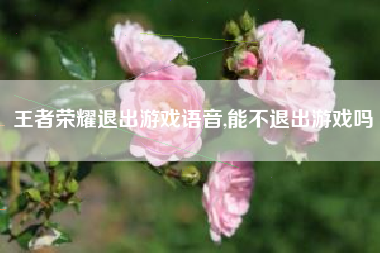 王者荣耀退出游戏语音,能不退出游戏吗