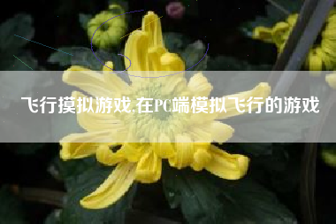 飞行摸拟游戏,在PC端模拟飞行的游戏