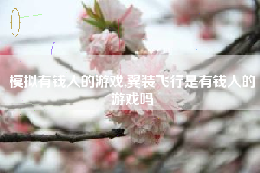 模拟有钱人的游戏,翼装飞行是有钱人的游戏吗