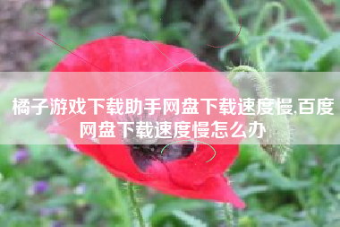 橘子游戏下载助手网盘下载速度慢,百度网盘下载速度慢怎么办