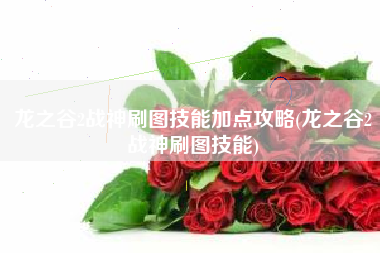 龙之谷2战神刷图技能加点攻略(龙之谷2战神刷图技能)