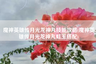 魔神英雄传月光龙神丸技能攻略(魔神英雄传月光龙神丸虹玉搭配)