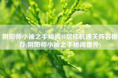 阴阳师小袖之手秘闻10层挂机通关阵容推荐(阴阳师小袖之手秘闻番外)