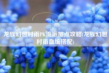 龙族幻想村雨PK流派加点攻略(龙族幻想村雨血统搭配)