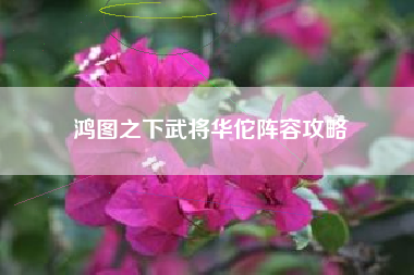 鸿图之下武将华佗阵容攻略