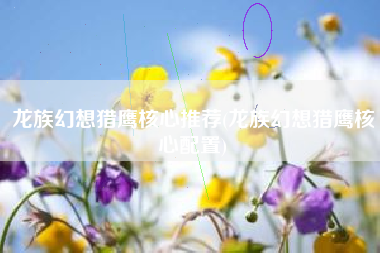 龙族幻想猎鹰核心推荐(龙族幻想猎鹰核心配置)