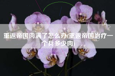 重返帝国肉满了怎么办(重返帝国治疗一个兵多少肉)