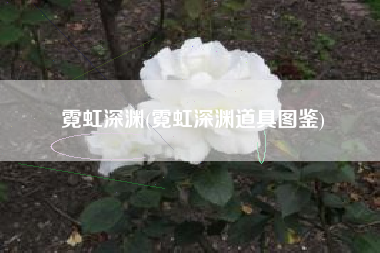 霓虹深渊(霓虹深渊道具图鉴)