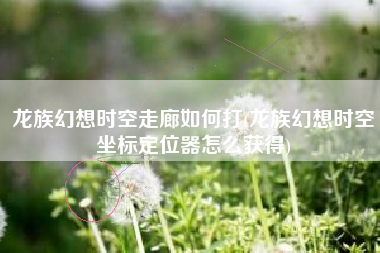 龙族幻想时空走廊如何打(龙族幻想时空坐标定位器怎么获得)