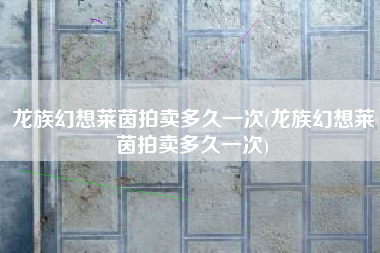 龙族幻想莱茵拍卖多久一次(龙族幻想莱茵拍卖多久一次)