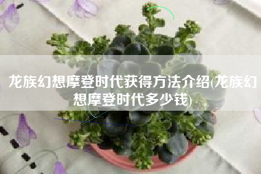 龙族幻想摩登时代获得方法介绍(龙族幻想摩登时代多少钱)