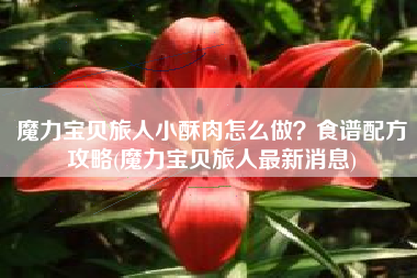 魔力宝贝旅人小酥肉怎么做？食谱配方攻略(魔力宝贝旅人最新消息)