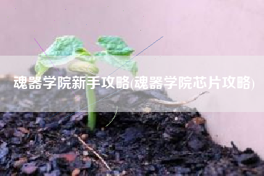 魂器学院新手攻略(魂器学院芯片攻略)